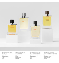 Terre d'Hermès Eau Givrée - Eau de Parfum